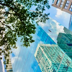 Young Dreams - Z.C Da Kidd