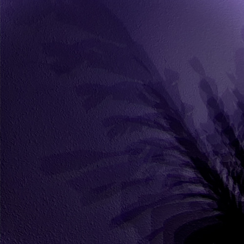 GHOST IN THE WALL