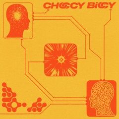 Biccy V/A Volume 1 Snippets