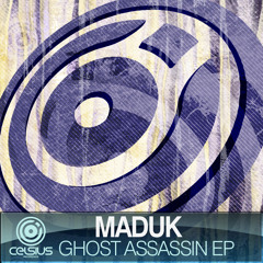 Voices (Maduk Remix)