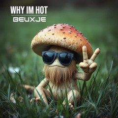 BEUXJE - Why I'm Hot (MIMS Flip)