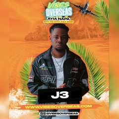 VIBESOVERSEAS - SUMMER IN PARADISE (BEACH PARTY) MIXED & HOSTED  BY DEEJAY J3 OLD D'HALL& REGGAE🇨🇾