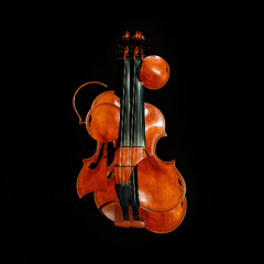 Buckle the Swash by Arin Aykut