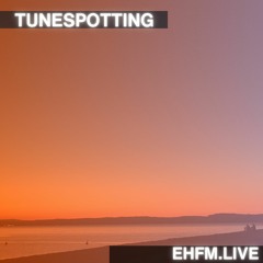 Tunespotting - 30.04.24