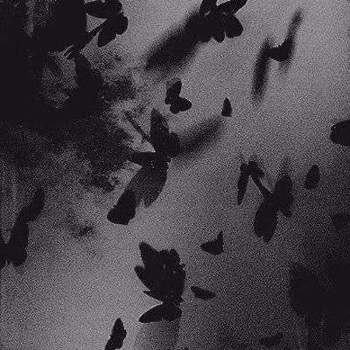 outside (remake) w/ przm