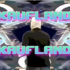Kokikoki Kaufland Remix