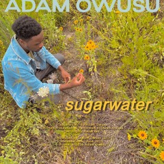 sugarwater