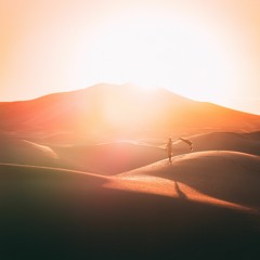 Desert Sanctuary