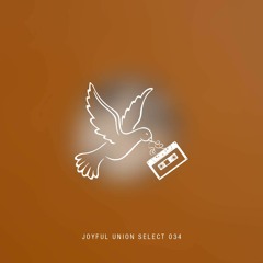 Joyful Union Select 034