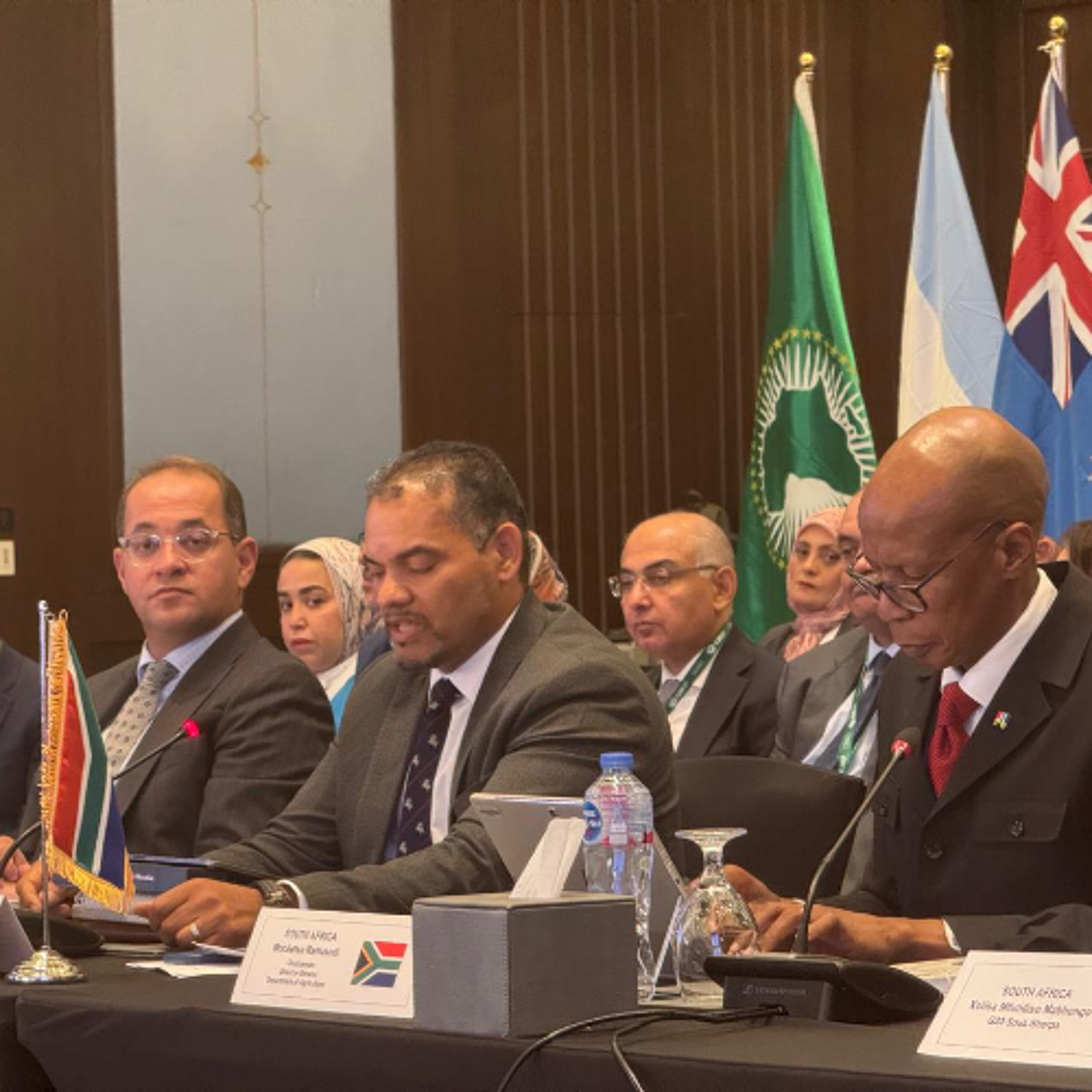 Opening remarks by International Relations Deputy Minister Botes ahead of the Food Security Task Force Meeting in the Arab Republic of Egypt: Cair