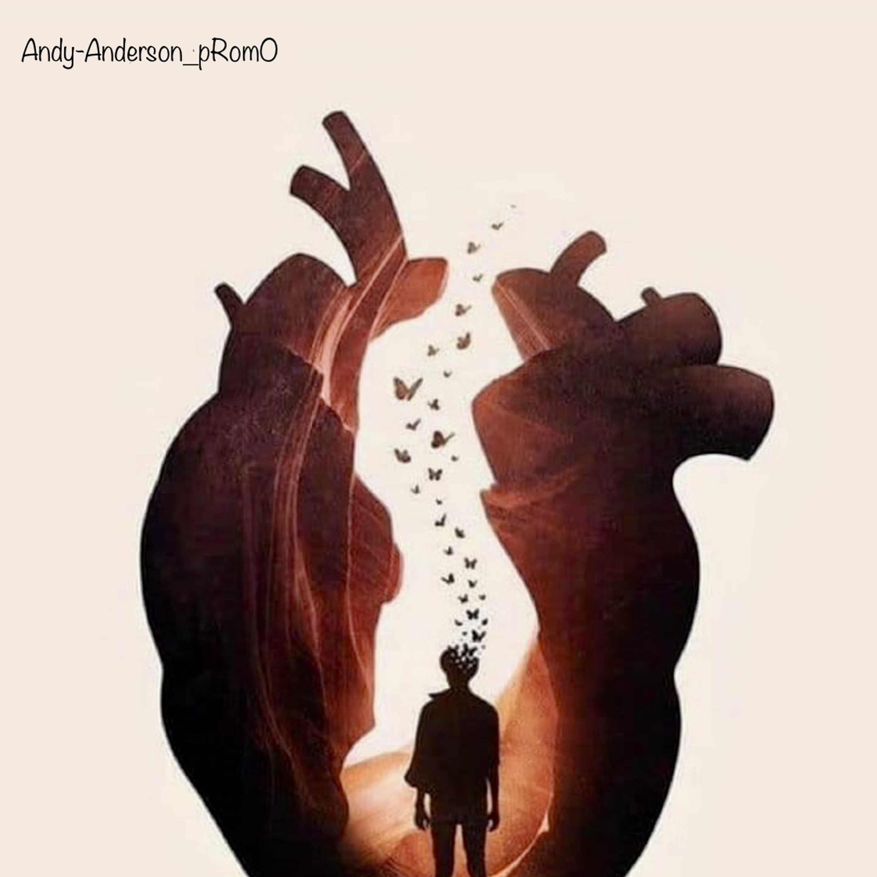 Dj Andy Anderson