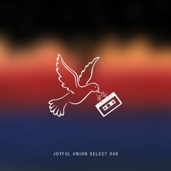 Joyful Union Select 048