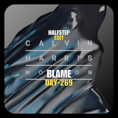 Calvin Harris, Burns X Bsno - Blame Fiesta (HALFSTEP Edit)
