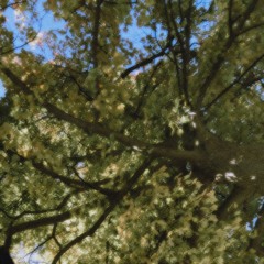 <3 fall fall fall