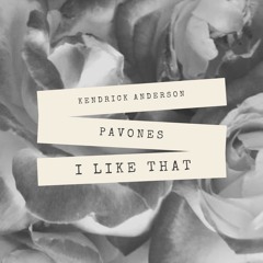 Kendrick Anderson & Pavones - I Like That (Original Mix)