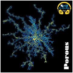 Porous