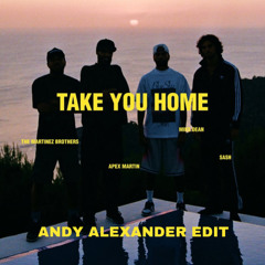 The Martinez Brorthers, Apex Martin, MIKE DEAN, SASH - Take You Home (Andy Alexander EDIT)