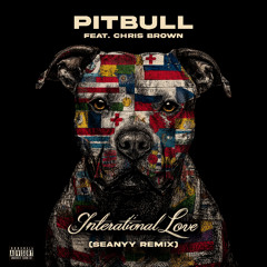 Pitbull - International Love (feat. Chris Brown) (Seanyy Remix) [Extended Mix]