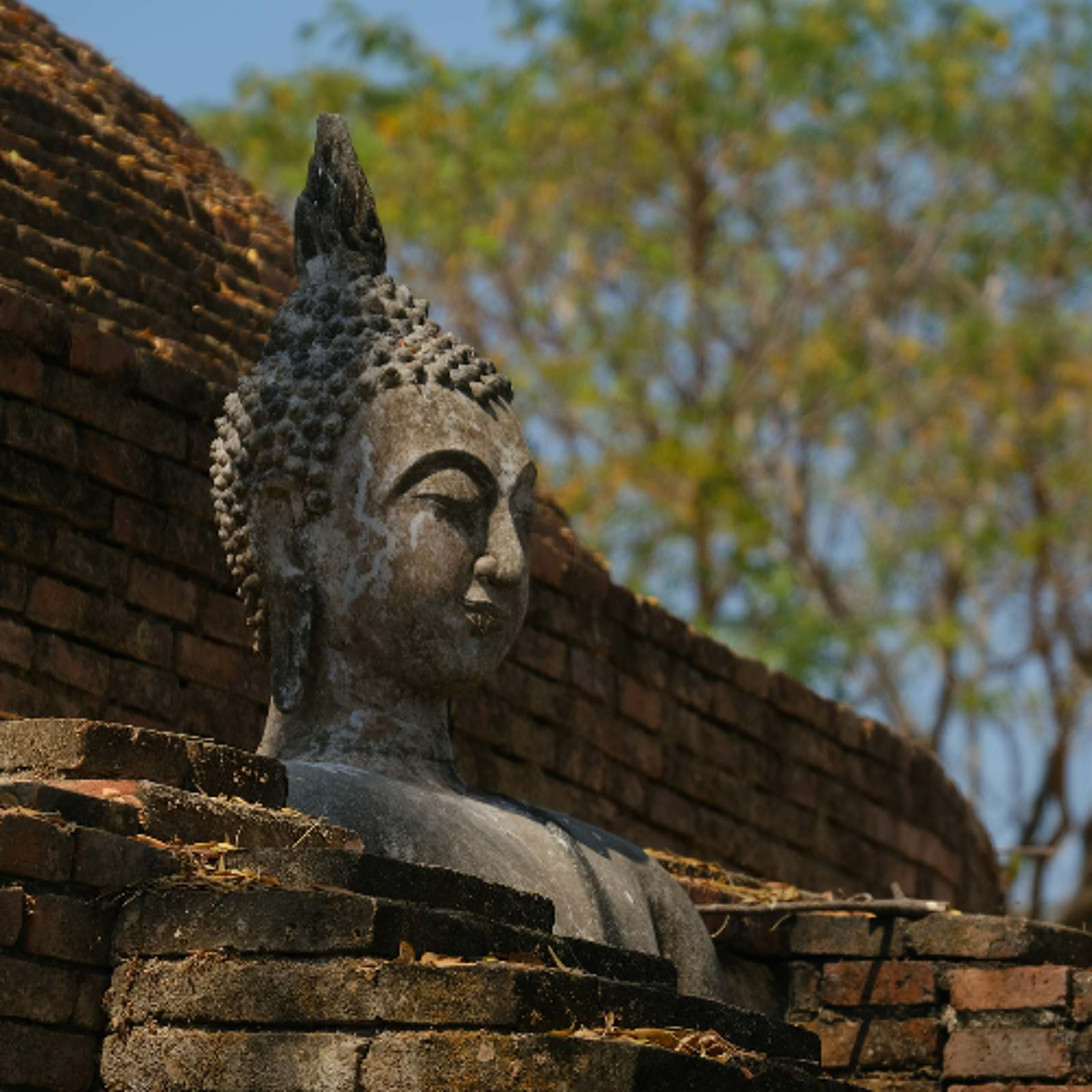 Ep. 548 Riflessioni sulla mente radiosa