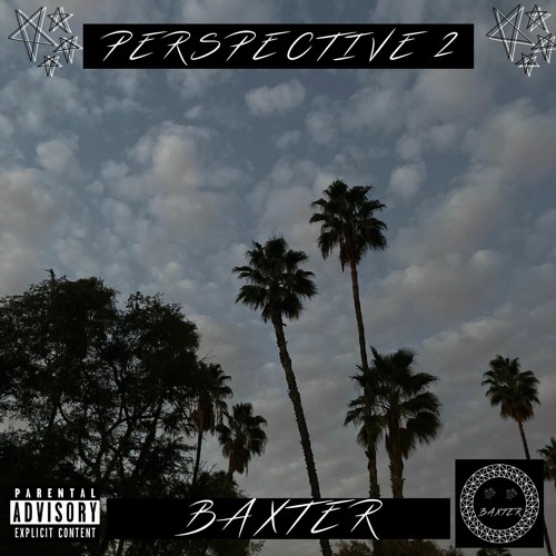 Perspective 2