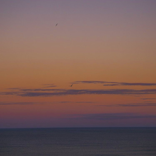 Fog as a Bullet - The Marias (slowed + reverb)