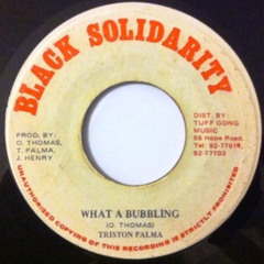 WHAT A BUBBLING Feat - Triston Palmer, Little John, Tenor Saw, Half Pint, Leroy Sibble, Nitty Gritty, Junior Reid +++