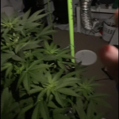 1-11