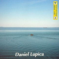 Apricot 20: Daniel Lupica