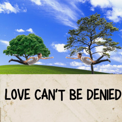 Love Can't Be Denied (Nic and Bailey)