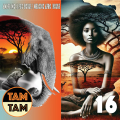 TAM TAM 16 | Amapiano, Afro House & Melodic Afro House
