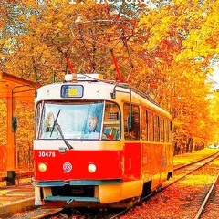 КОРОЛЕВСКИЙ FREESTYLE