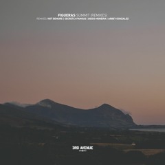 Figueras - Summit (Not Demure Remix) [3rd Avenue]