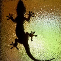 Gecko (prod. alyzek)