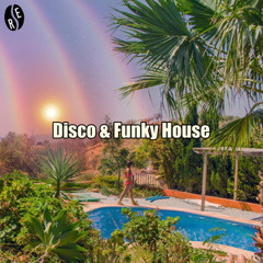 Disco & Funky House (Groovy)