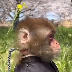 As I would  (prod.hoodboy)