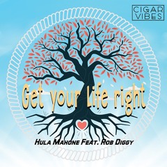 Get Your Life Right (Hula's Vibe Mix)
