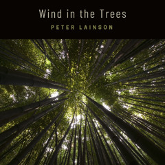 Wind in the Trees