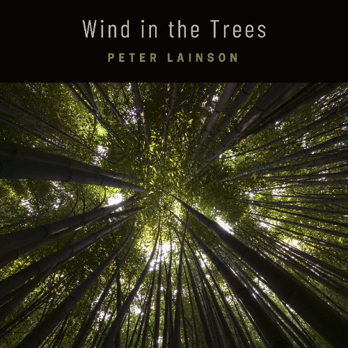 Wind in the Trees