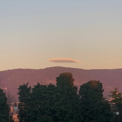 up n down ft. ansekk & zannaqj