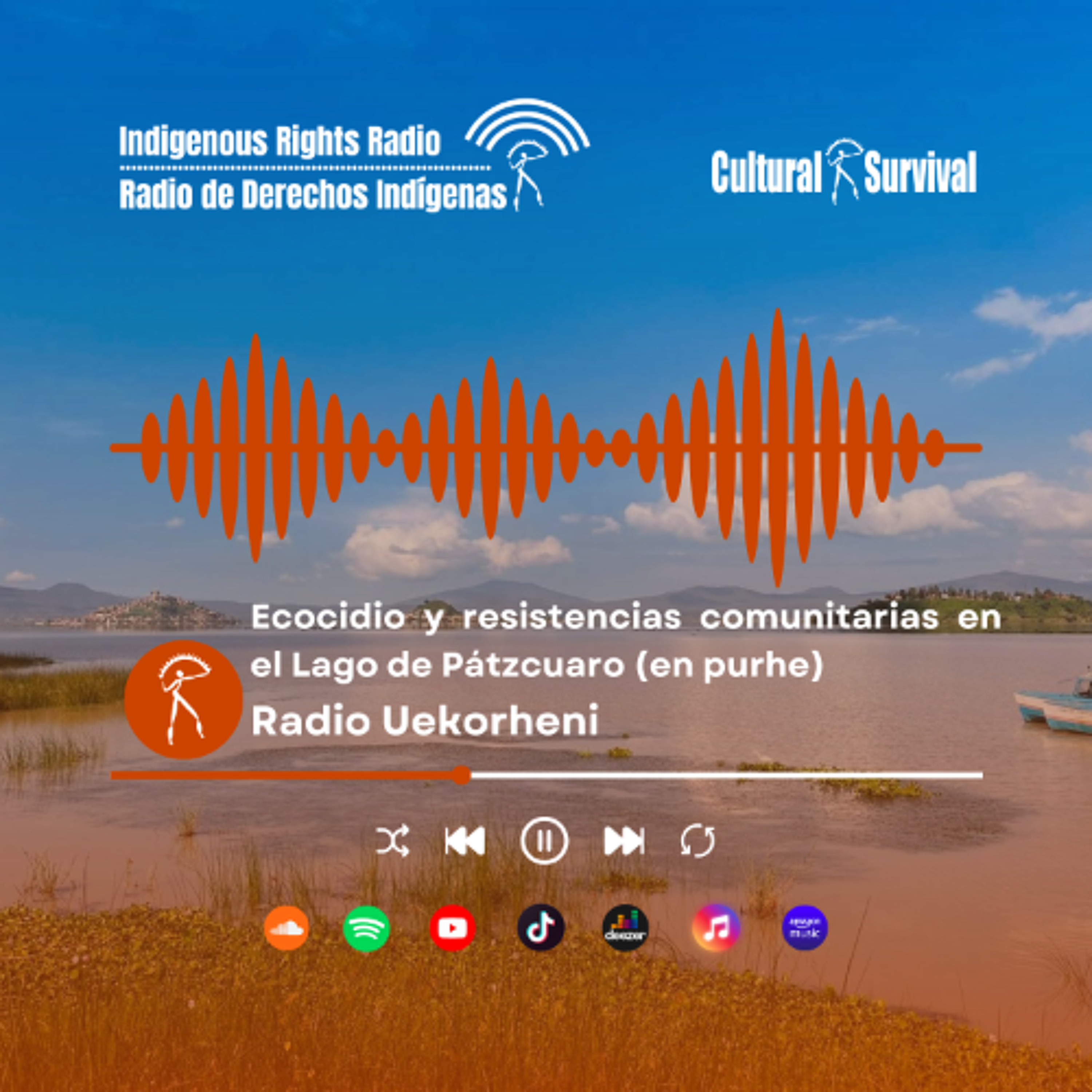 Japunda. Ecocidio y resistencias comunitarias en el Lago de Pátzcuaro (en purépecha)