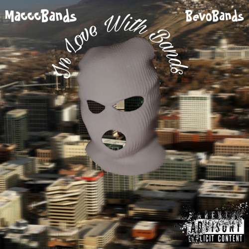 Need A Bag Mac X Bevo
