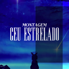 MONTAGEM CÉU ESTRELADO (instrumental)