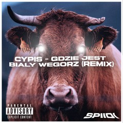 Cypis - Gdzie Jest Biały Węgorz (SPIIDI Bootleg)
