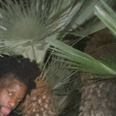 Ricky Yo Bitch ( Baccshots )