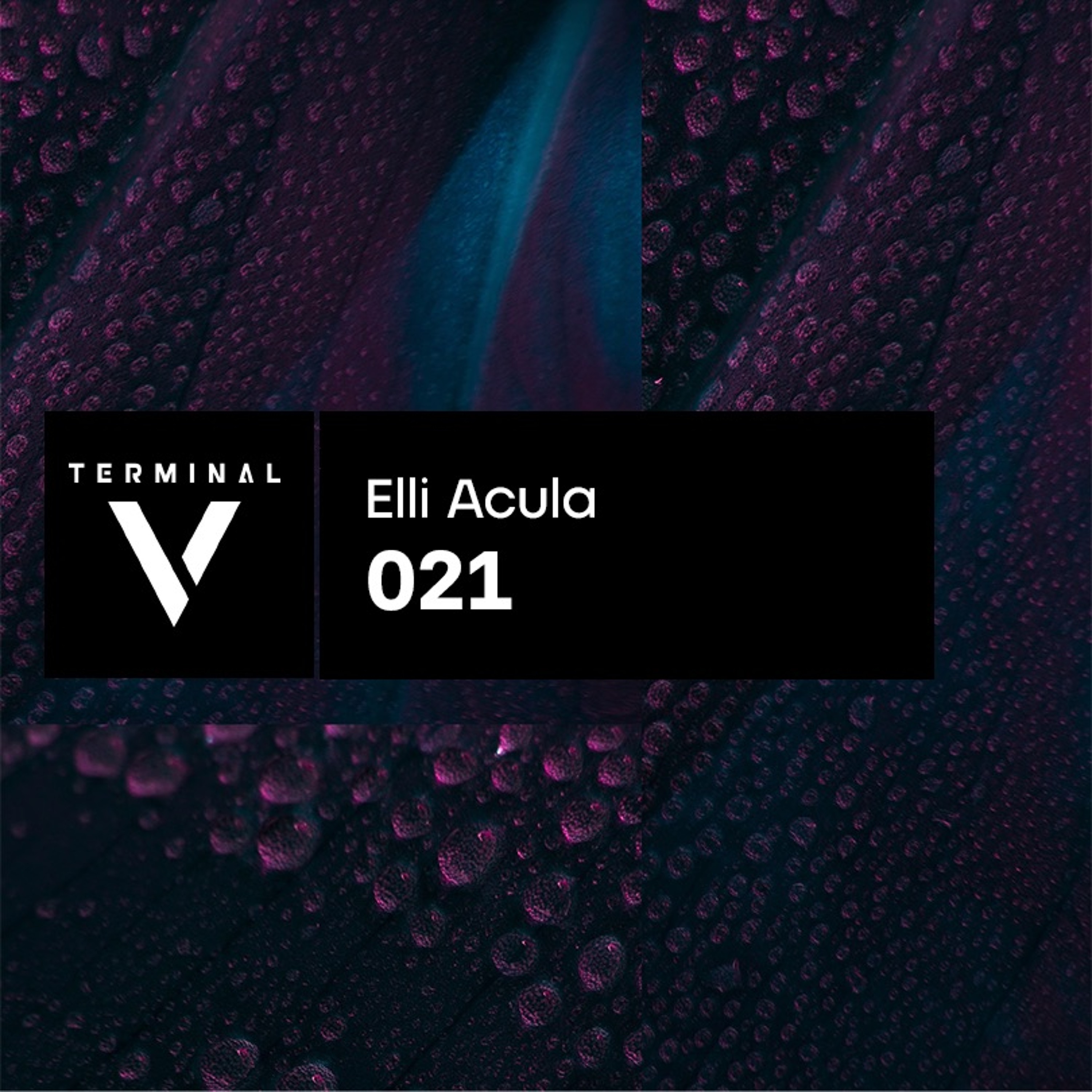 Terminal V
