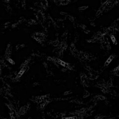 SPURME - Vanish