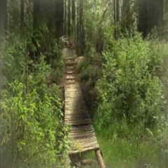 tranquil+++scrap4ik!