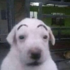 j'ai envie d'être une méduse