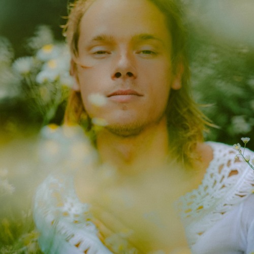 Stream Alive by Pink Dragon Listen online for free on SoundCloud