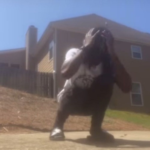 Percatric - Dummy (Hurtboyag + Xangang) [DREAMTHUGEXCLUSIVE]